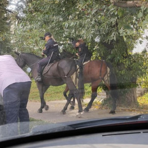 Во Владимире заметили конную полицию