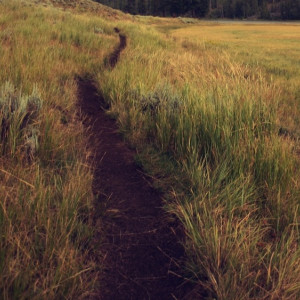 Пропавшую во Владимирской области женщину в красном халате нашли мертвой