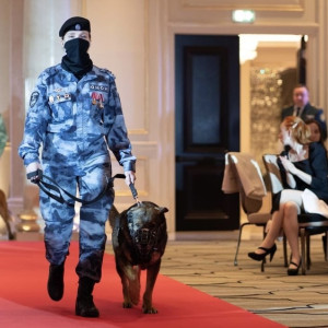 Овчарку из Владимирской области признали лучшей служебной собакой