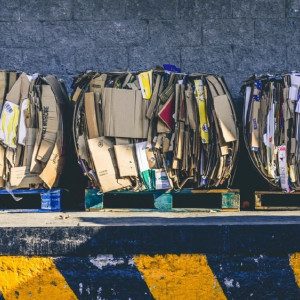 Во Владимирскую область направят 21 млн рублей на контейнеры для раздельного сбора мусора