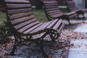 Во Владимирской области вандалы устроили погром в парке