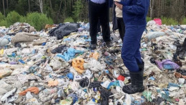 Работа мусорного комплекса в Камешковском районе снова вызвала вопросы у прокуратуры