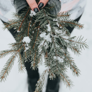 Прогноз погоды во Владимире и области на 29 ноября