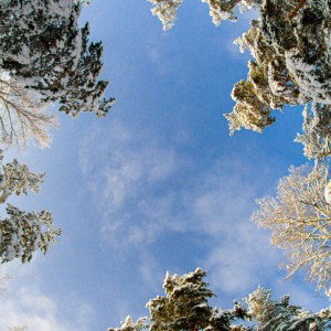 Прогноз погоды во Владимире и области на 17 января