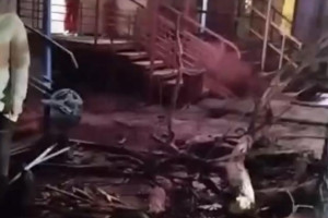 Падение дерева на прохожих в Гусь-Хрустальном привело к уголовному делу