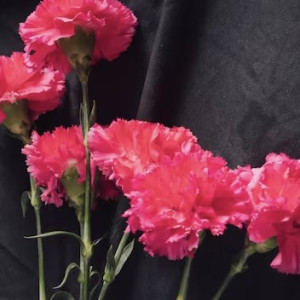 Во Меленках скончался экс-депутат Федор Марусланов