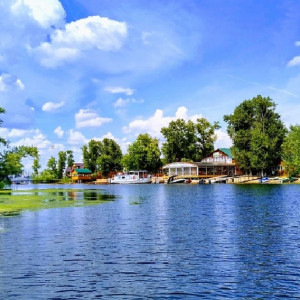 Во Владимирской области заказник превратили в турбазу