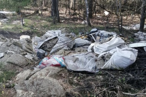Огромную стихийную свалку в Петушинском районе ликвидируют