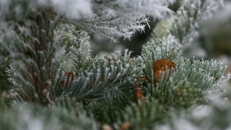 Прогноз погоды во Владимирской области на 18 ноября 2023 года