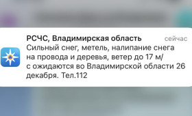 Жителей Владимирской области предупредили о сильном снегопаде 26 декабря