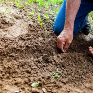 Во Владимирской области компанию оштрафовали на 40 тысяч за загрязнение почвы