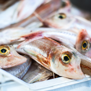 Во Владимирской области кладбище засыпали тухлой рыбой