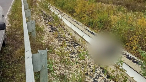 Жителя Орехово-Зуево будут судить за жестокое убийство женщины во Владимирской области