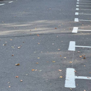 Во Владимире платными парковками воспользовались 8 тыс. водителей