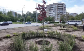 Во Владимире озеленили перекресток проспекта Строителей с улицей Балакирева