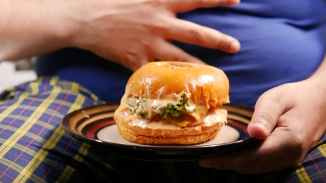 Во Владимирской области пересчитали количество толстяков