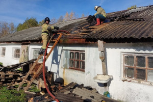Во Владимирской области загорелось зернохранилище