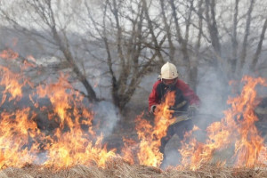 Во Владимирской области в Пасху потушили 25 ландшафтных пожаров
