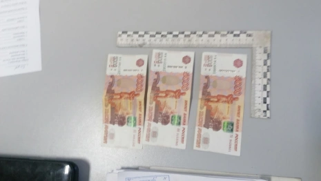 Нелегала из Петушков будут судить за попытку дать взятку в 15 тыс. рублей полицейскому