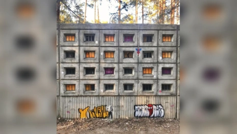 Во Владимире уличный художник Мишкин превратил бетонную стену в панельный дом