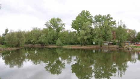 Во Владимире проект благоустройства Соловьиного пруда разработает ООО ««ПБ «СпецПРО»