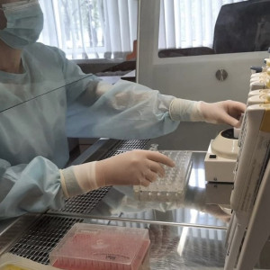 Во Владимирской области от укусов клещей пострадали 65 человек
