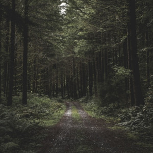 Во Владимирской области пропал 62-летний мужчина в камуфляжном дождевике