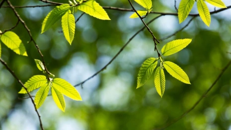 31 день Великого поста: что можно и нельзя 17 апреля 2024 года