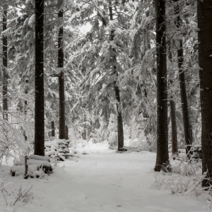 Пропавшего во Владимирской области 13-летнего мальчика в черной шапке нашли живым