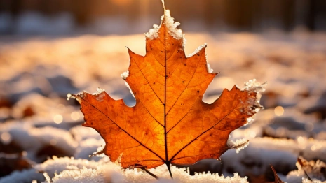 В выходные во Владимирской области выпадет небольшой снег
