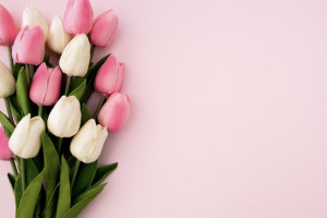 Владимирцев предупредили о новых схемах мошенников накануне 8 марта