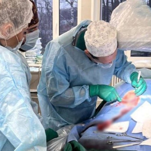 В Александрове к выписке готовят 1-го пациента с имплантированным  электрокардиостимулятором