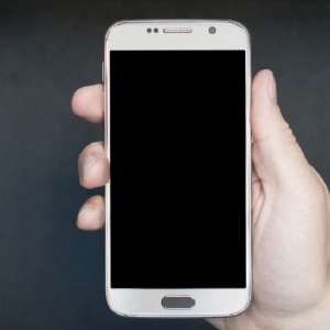 Жителя Владимирской области осудили за призывы к терроризму в telegram-канале