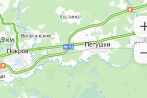 Владимирский губернатор объяснил разделение Петушинского района