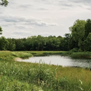 В Вязниковском районе стоки сбрасывали в реку