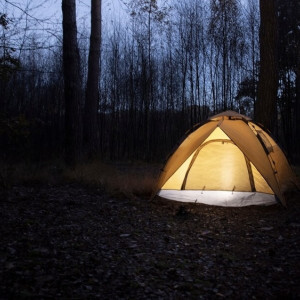 Во Владимирской области будут развивать палаточные лагеря