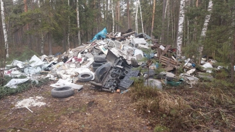 В лесу близ Южного обхода Владимира нашли стихийную свалку
