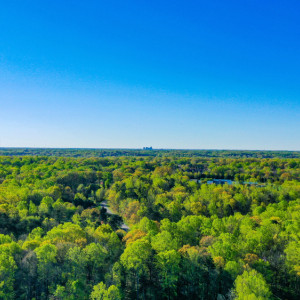 Эксперты назвали один комфортный город для поездок в золотую осень во Владимирской области