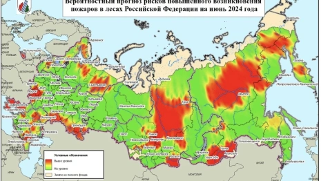 Владимирскую область включили в зеленую зону на карте лесных пожаров