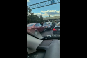 Во Владимире два автомобилиста подрались на проезжей части