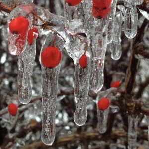 Прогноз погоды во Владимирской области на 28 декабря