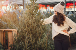 Во Владимире Рождественская ярмарка откроется 19 декабря