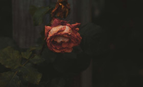 В селе под Муромом нашли труп 59-летней женщины