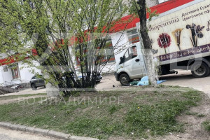 Во Владимире осудили сбившего насмерть 81-летнюю бабушку водителя ГАЗели