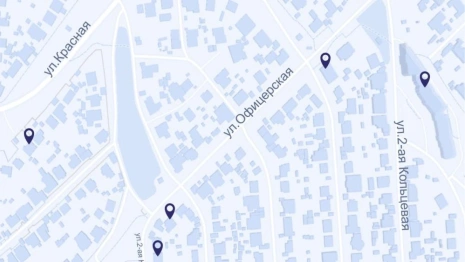 Во Владимире 10 адресов запретили посещать из-за обработки от грызунов