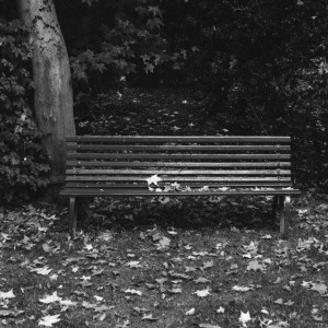 В Центральном парке Владимира у мужчины случился приступ эпилепсии