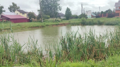 В Юрьев-Польском на глазах у матери утонул 9-летний мальчик