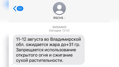 МЧС предупредило владимирцев о жаре до +31 градуса