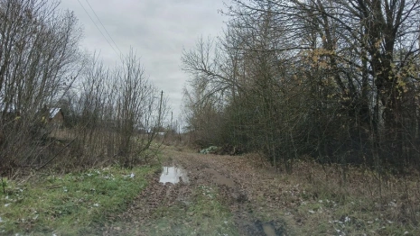 Жители Селивановского района пожаловались на бездорожье