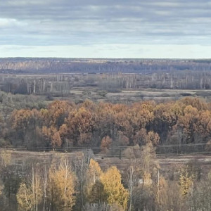 Прогноз погоды во Владимирской области на 17 сентября 2025 года